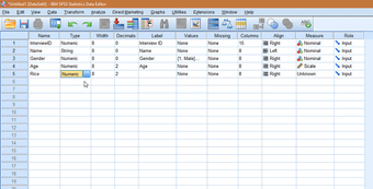 Image 2 for SPSS