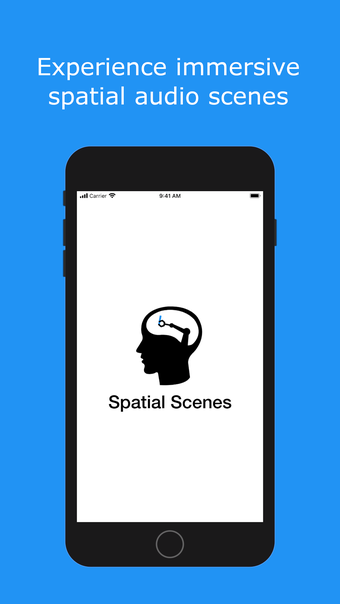 Imagen 0 para Spatial Scenes