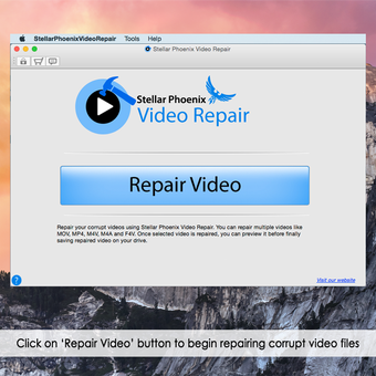 Image 0 for Stellar Repair for Video