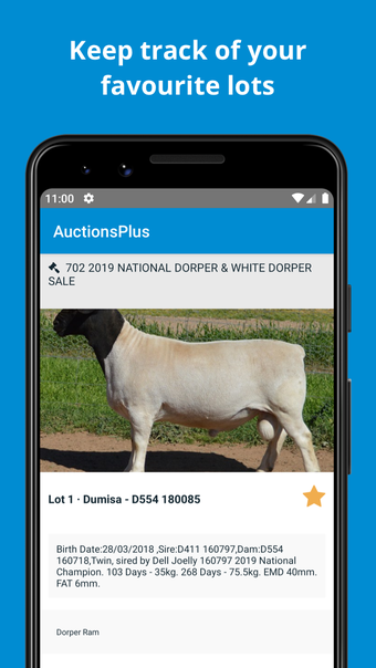 Imagen 0 para AuctionsPlus