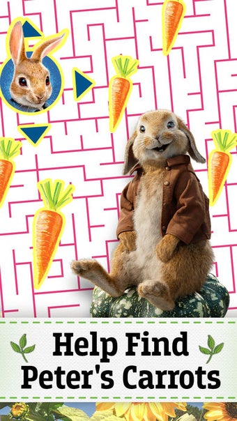 Image 0 for Peter Rabbit Maze Mischie…