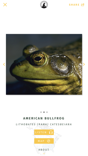 Imagen 0 para NWF Guide to Amphibians