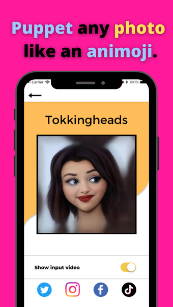 Image 3 for TokkingHeads