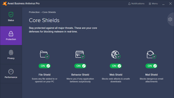 Image 1 for Avast Business Antivirus …