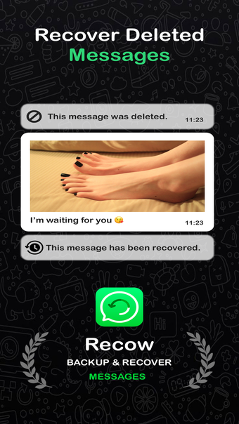 Image 0 for Recow: Recover Deleted Me…