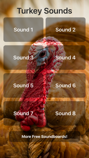 Image 0 for Turkey Sounds