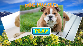 Image 0 for jigsaw collection dog bra…