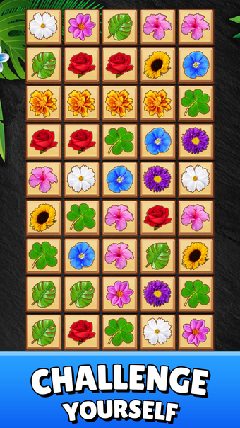 Imagen 0 para Blossom Tile Connect