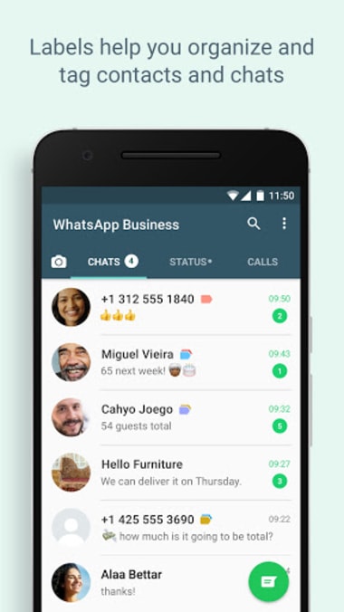 Whatsapp business download