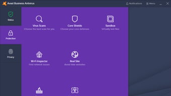 Image 2 for Avast Business Antivirus