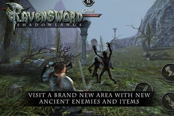 Imagen 0 para Ravensword: Shadowlands