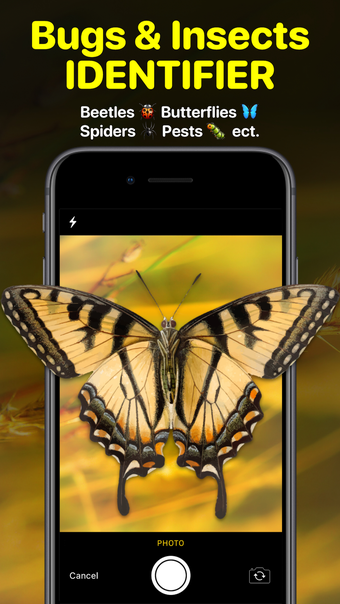 Image 0 for Bug Identifier App - Inse…