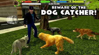 Imagen 0 para Stray Dog Simulator