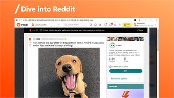 Image of program: Reddit