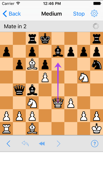 Imagen 0 para Chess Tactics Pro Puzzles