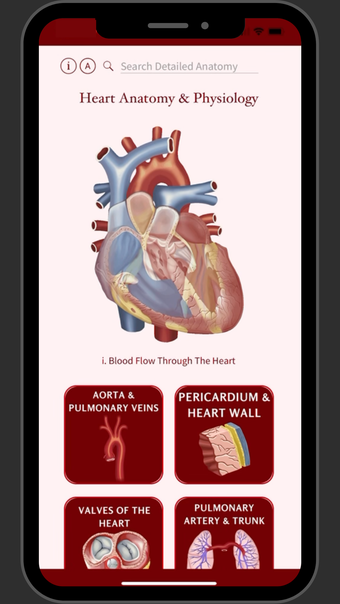 Image 0 for Heart Anatomy and Physiol…