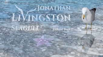 Image 0 for Jonathan Livingston Seagu…