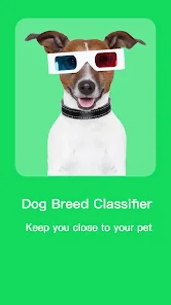 Image 0 for dog breed classifier