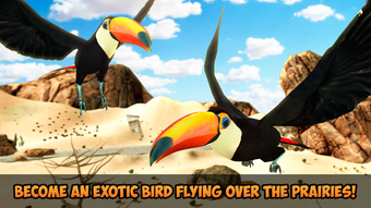 Image 0 for Toucan Simulator 3D: Bird…