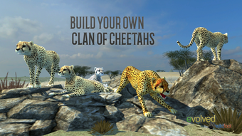 Image 0 for Clan Of Cheetahs