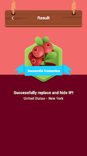 Image 0 for Cranberry VPN