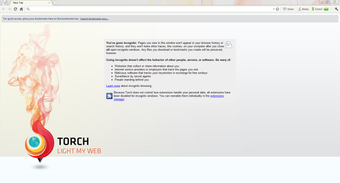 Imagen 4 para Torch Browser