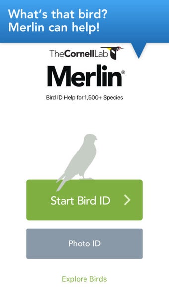 Image 0 for Merlin Bird ID by Cornell…