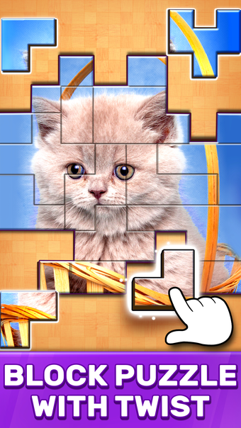 Imagen 0 para Jigsaw Puzzle Blocks