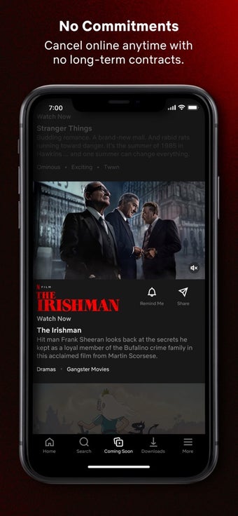 Image 1 for Netflix