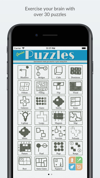 Image 0 for Genius Puzzles