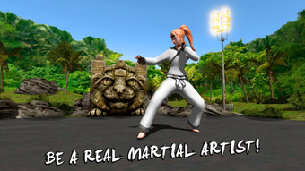 Image 0 for Karate Do Fighting Tiger …