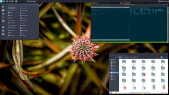 Image 2 for Linux Mint