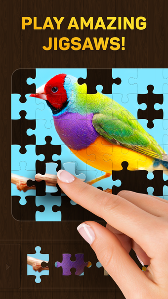 Imagen 0 para Jigsaw Puzzles for You