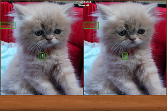 Imagen 0 para Cats Spot the Difference