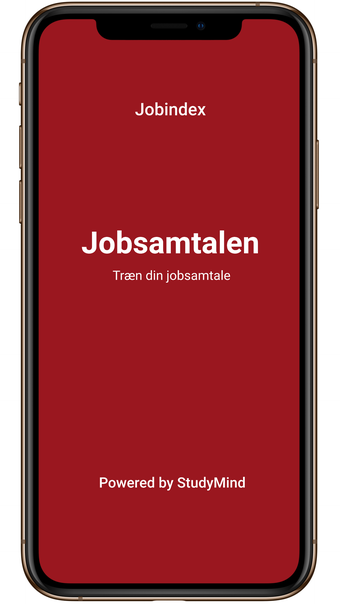 Image 0 for Jobindex Jobsamtalen