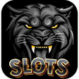 Icon of program: Black Panther 567 Slots