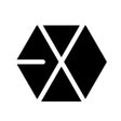 Icon of program: EXO Video Player