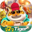 Icono de programa: Tiger Play NumSharp