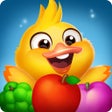 Icono de programa: Fruits Ducks