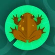 Icon of program: Twirly Toad