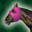 Icono de programa: Jumpy Horse Racing