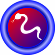 Icon of program: PyIDM