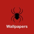 Icon of program: Wallpapers For Spiderman …