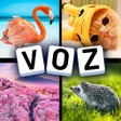 Icon of program: 4 Imagens 1 Voz