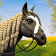 Icon of program: Star Equestrian - Horse R…