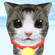 Icon of program: Cat Simulator