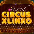 Icon of program: Circus-Xlinko