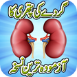 Icon of program: Kidney Stone Treatment Re…