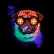 Icon of program: Dogs Wallpapers 4K HQ Not…