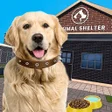 Icono del programa: Animal Shelter: My Pet Do…